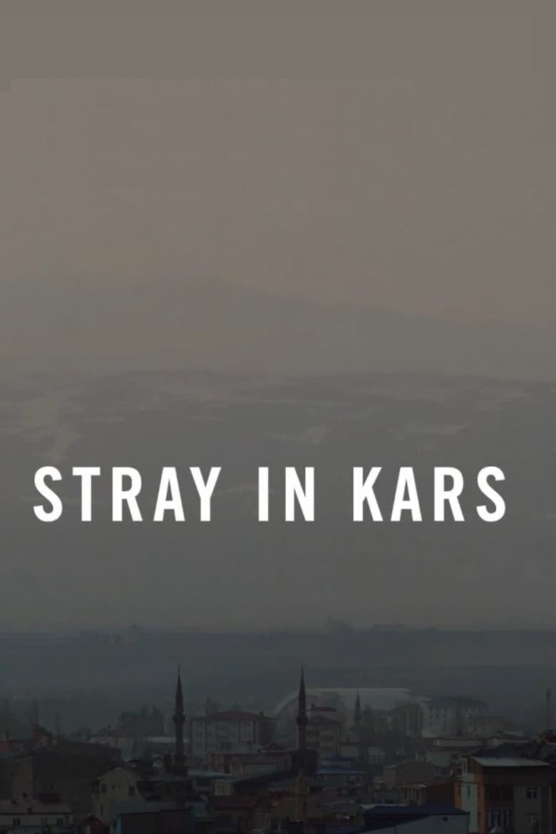 Stray in Kars poster