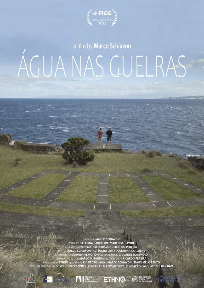 Água nas guelras poster