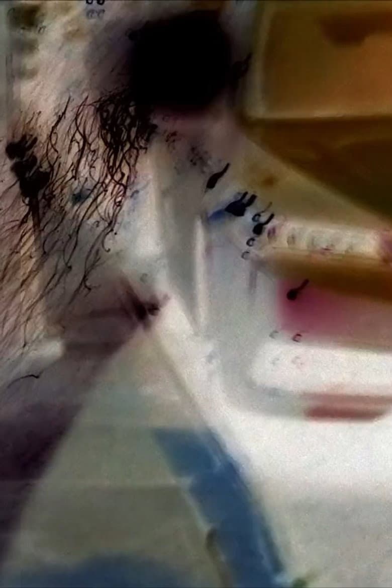 Snow in Headlights II poster