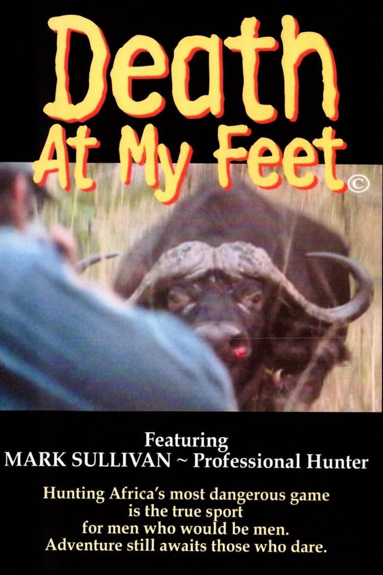 Death at my feet poster