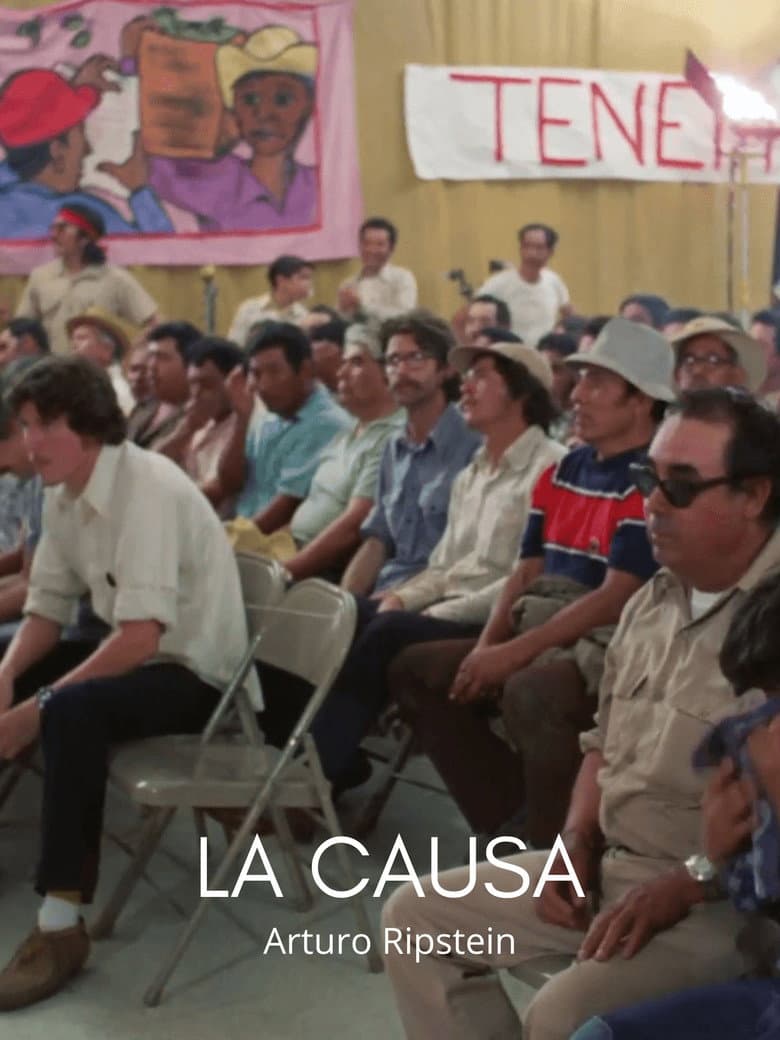 La causa (Tres preguntas a Chávez) poster