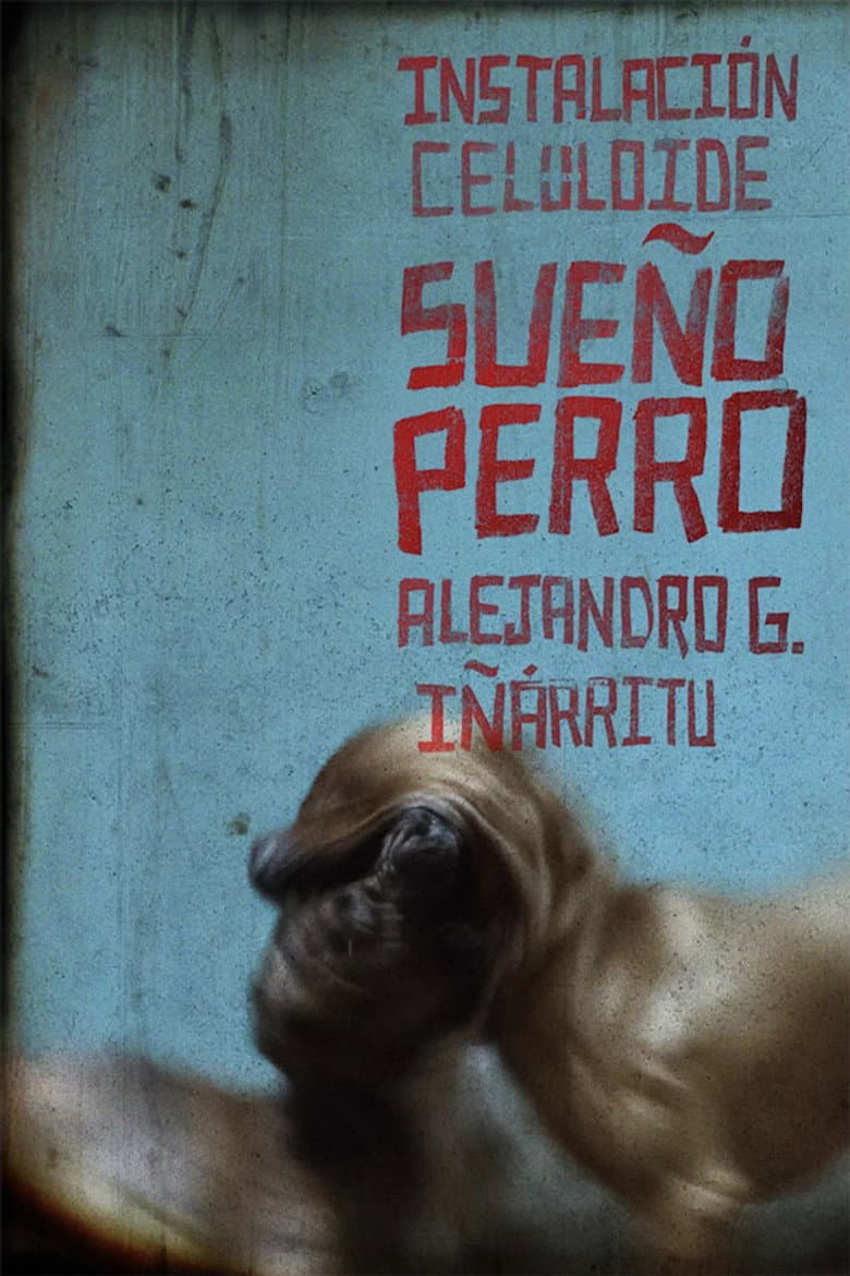 Sueño Perro poster