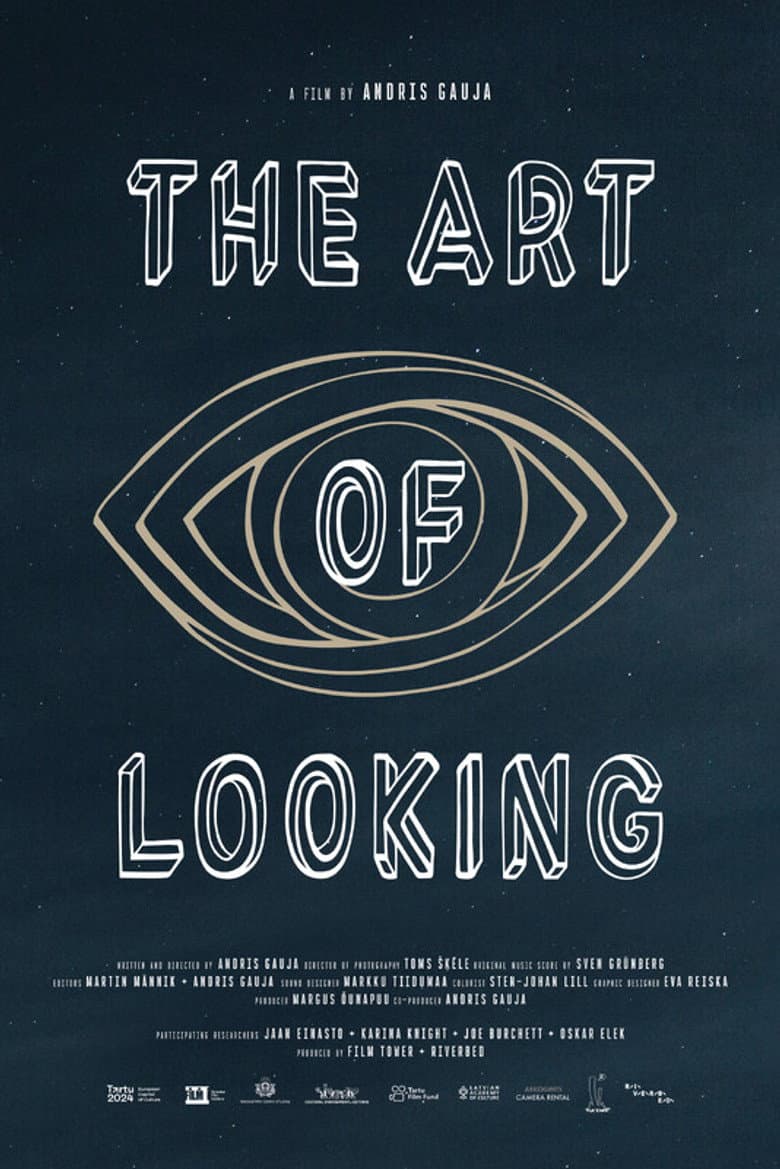 The Art of Looking poster