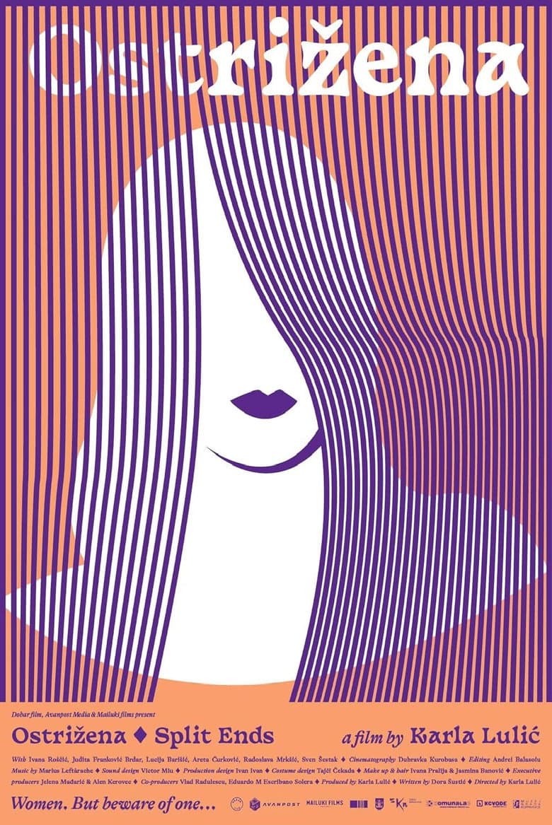 Split Ends poster