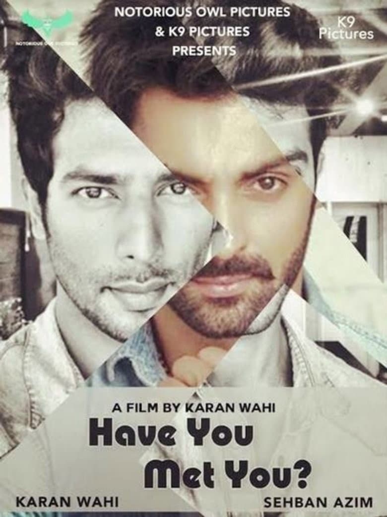 Have You Met You poster