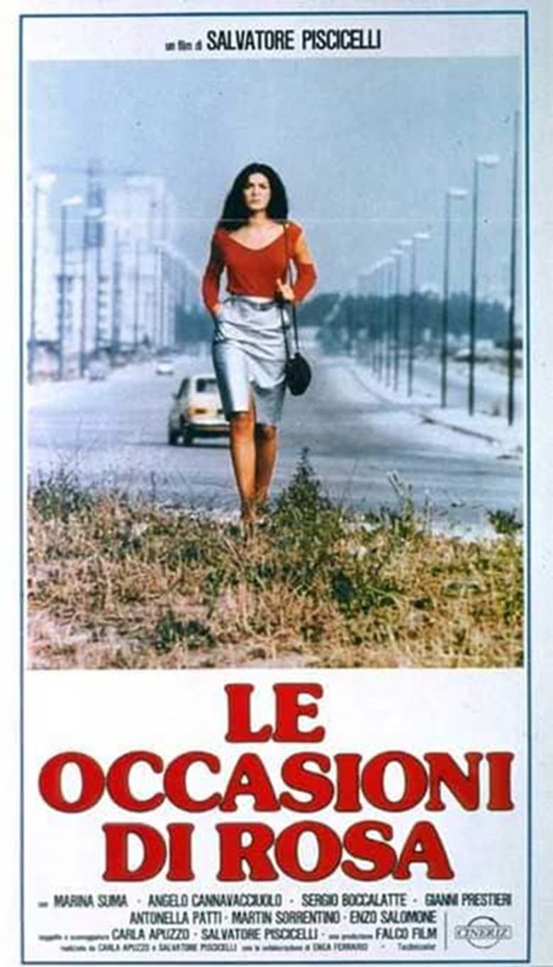 The Opportunities of Rosa poster