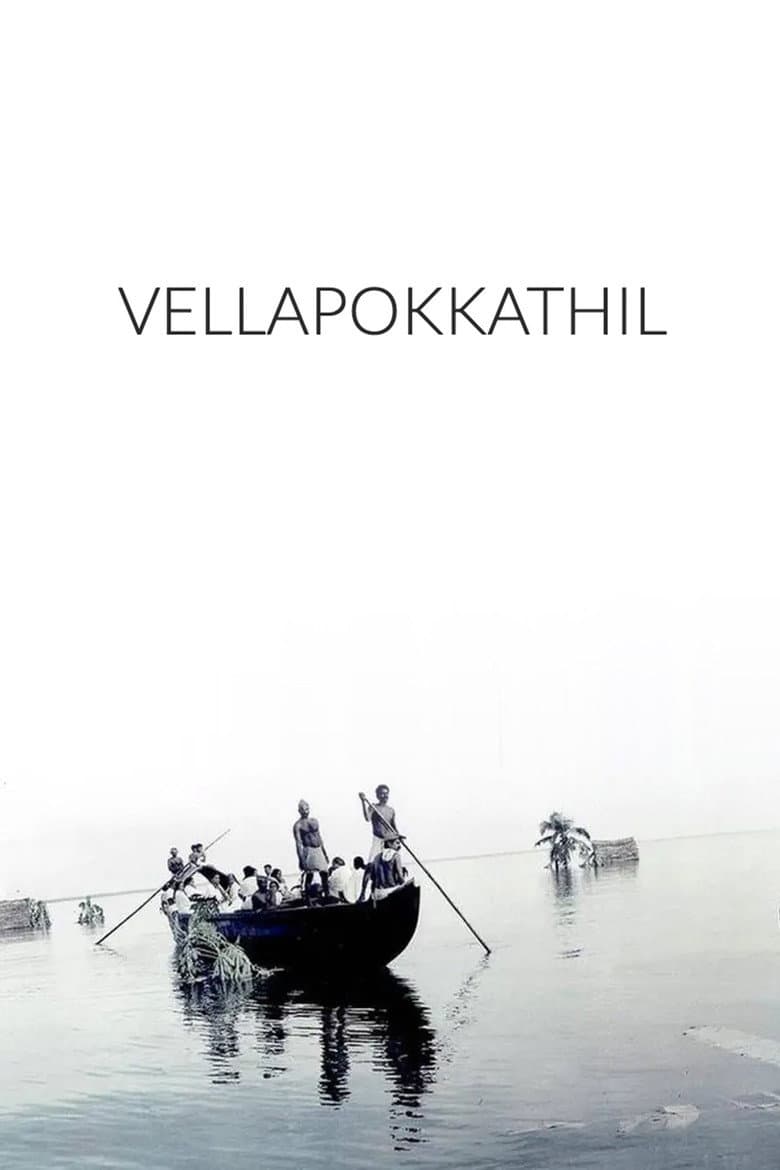 The Deluge poster