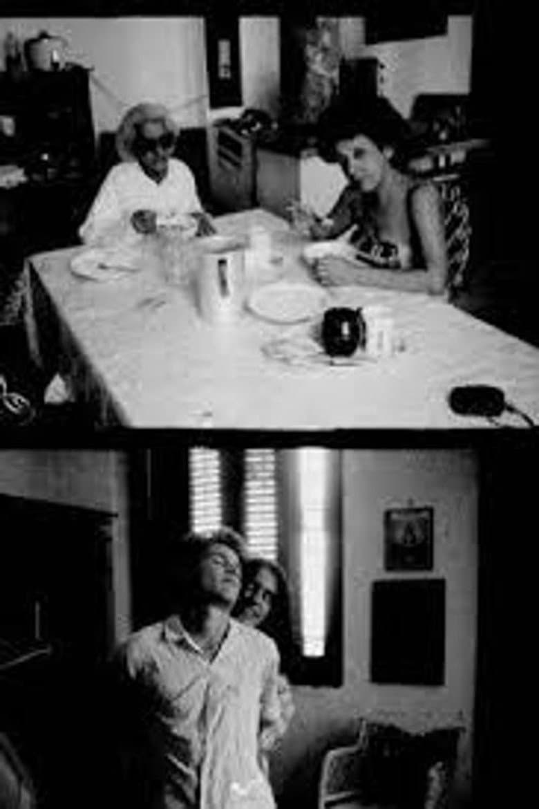 Evidentemente comieron chocolate suizo poster