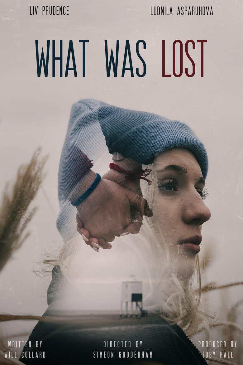 What Was Lost poster