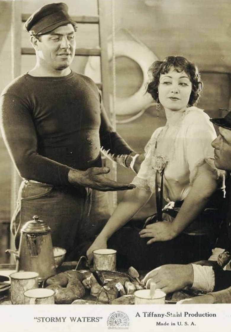 Stormy Waters poster