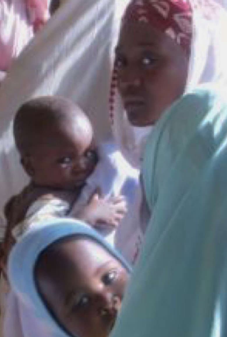 The Edge of Joy poster