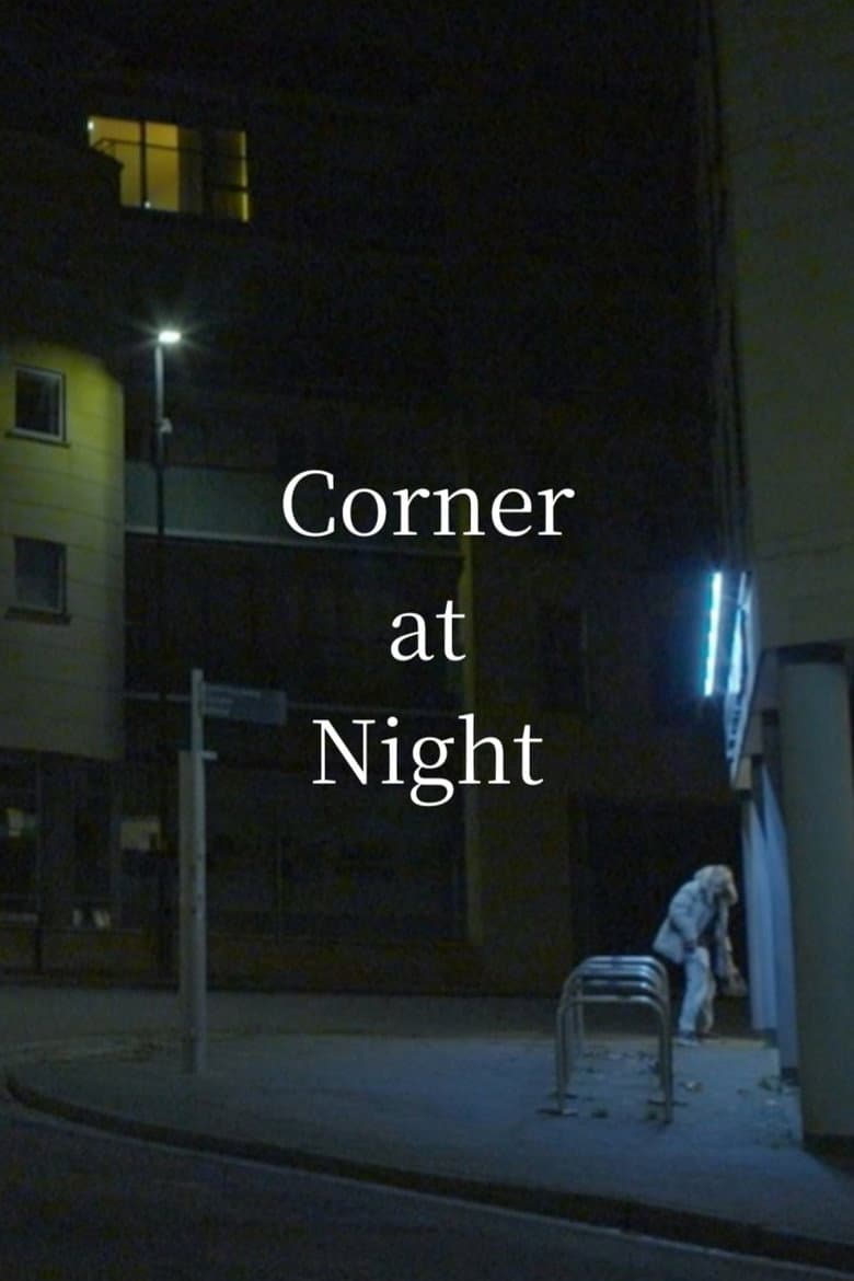 Corner at Night poster