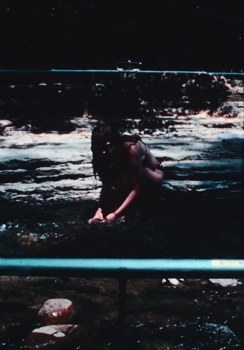 some brief notes on beauty and being poster