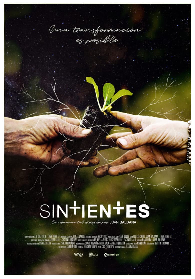 Sintientes poster