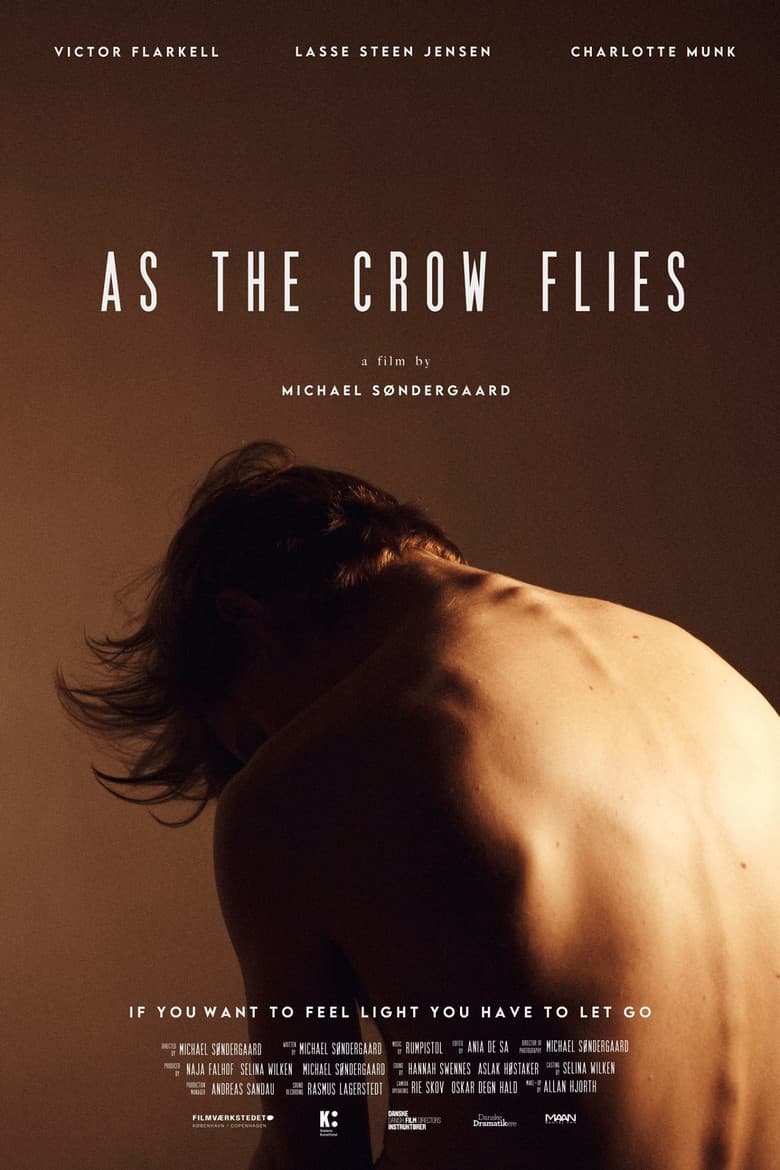 As the Crow Flies poster