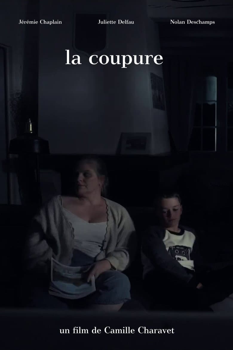 La Coupure poster