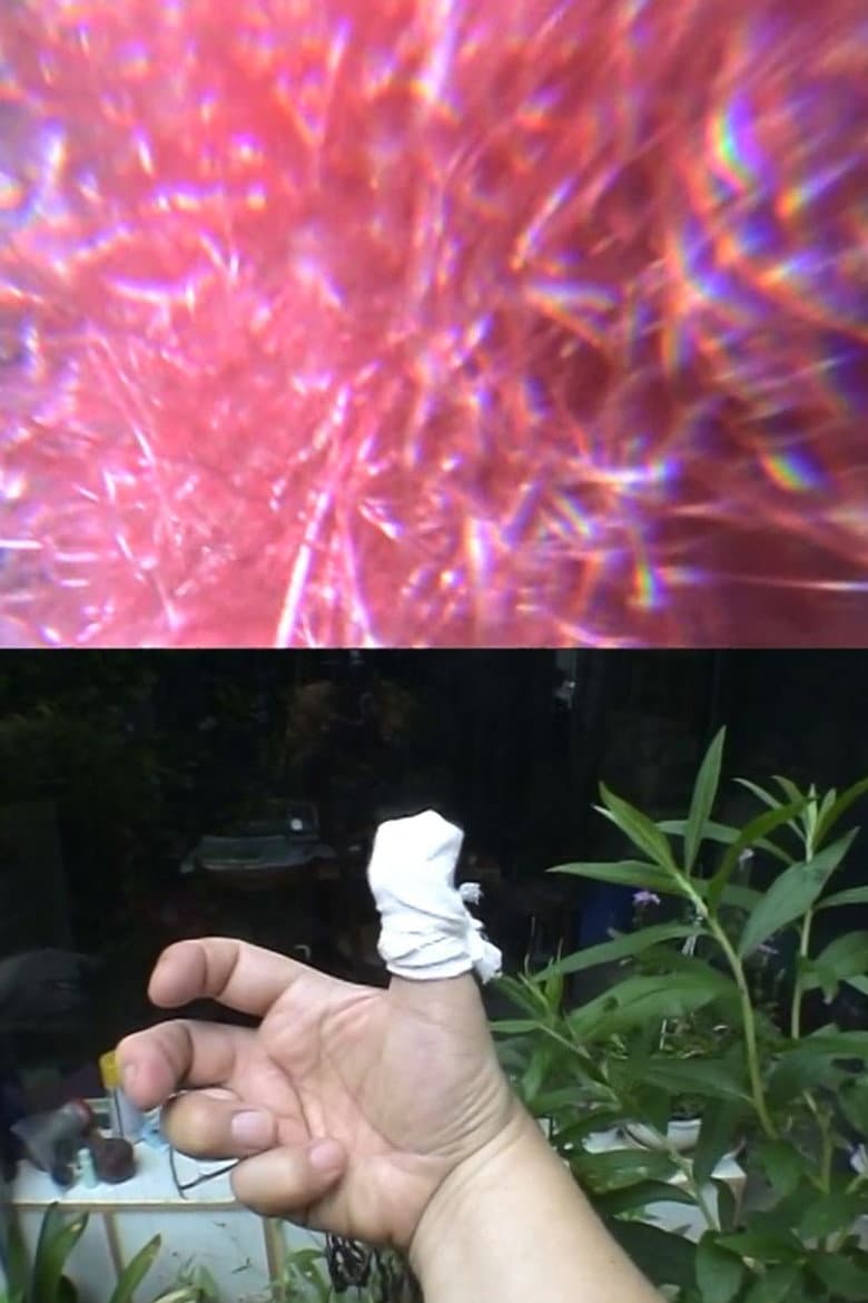 The Amazing Change of Flowers In My Little Garden poster