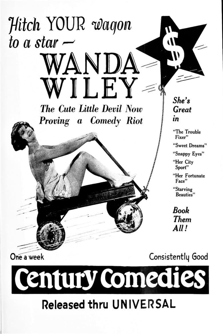 The Trouble Fixer poster