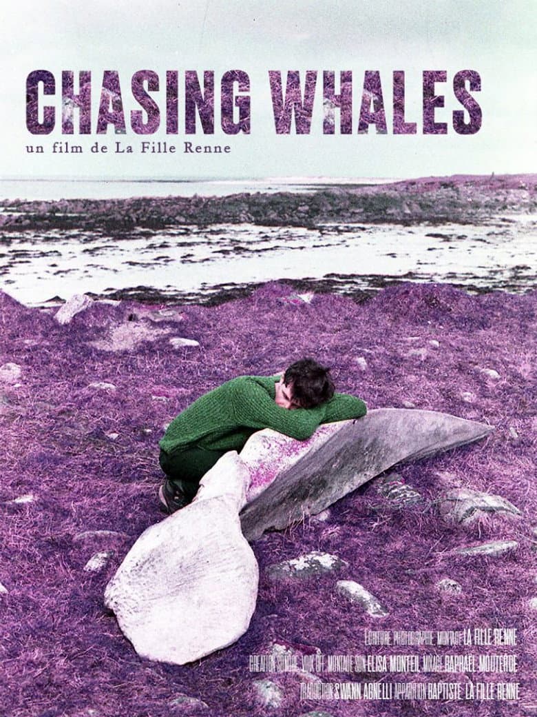 Chasing Whales poster