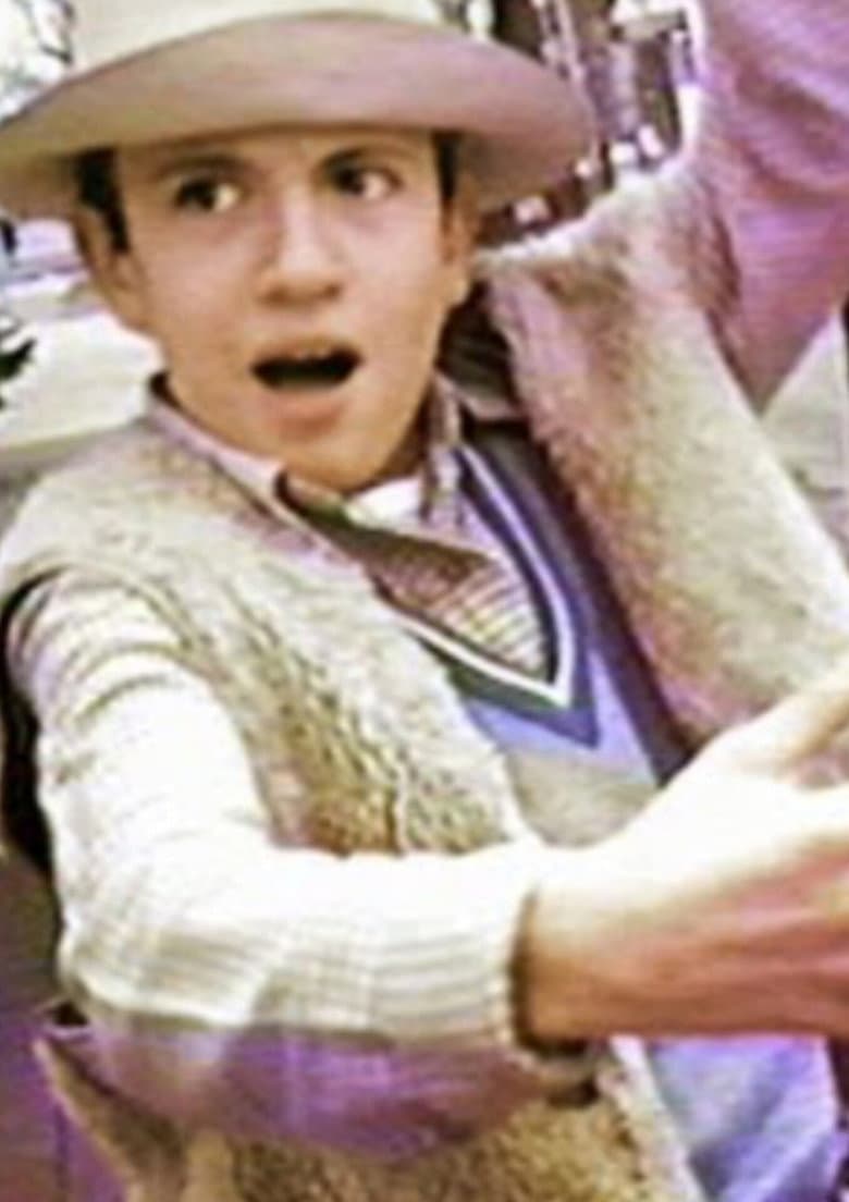 The Last Ninja Gaucho poster