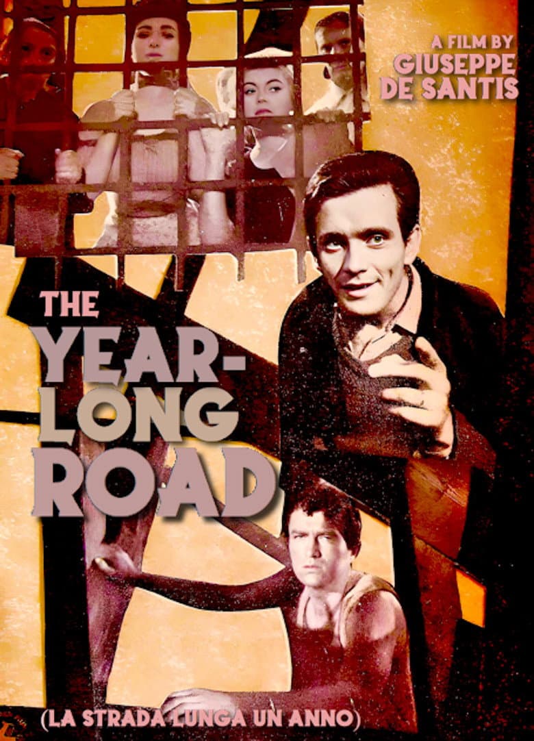 The Year Long Road poster