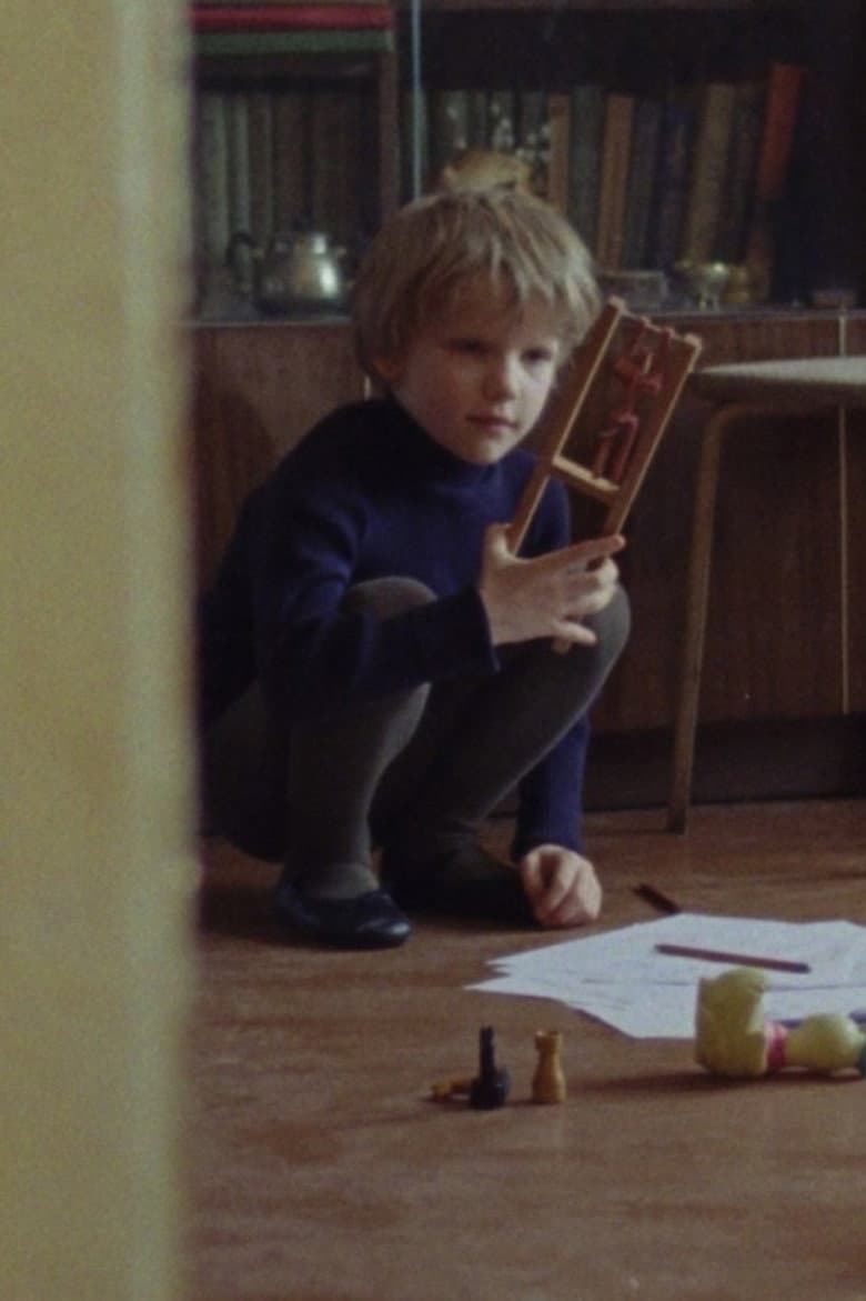 Son or the Kaleidoscope poster