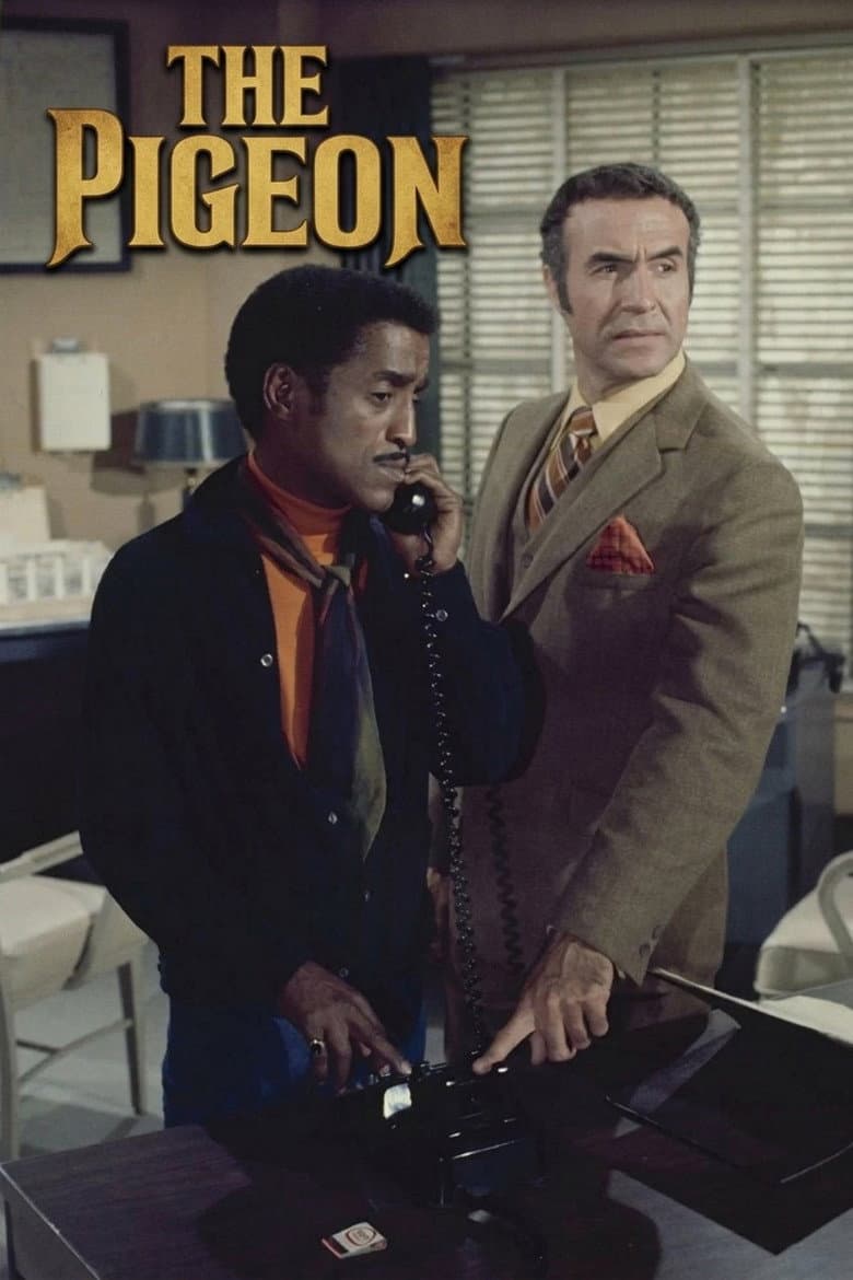 The Pigeon poster