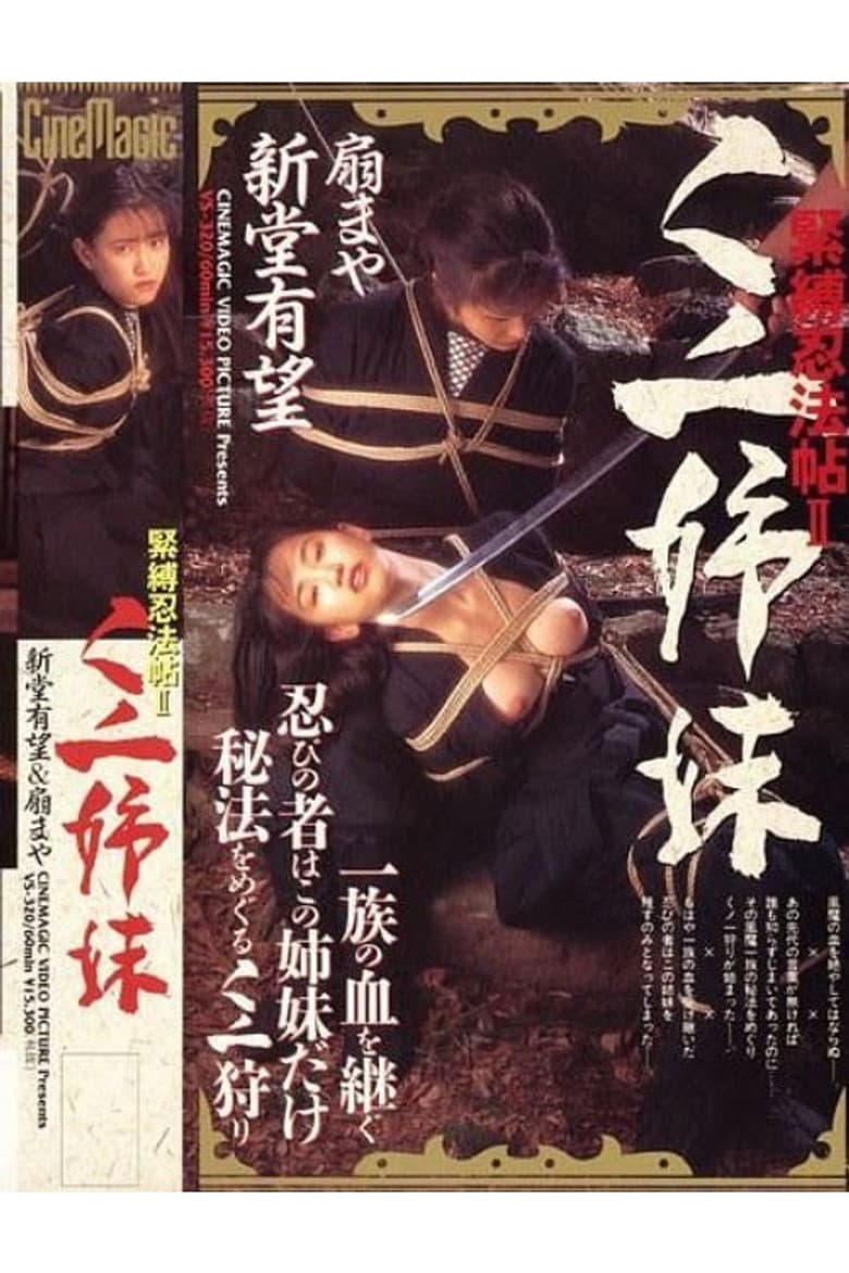 Ninja Sisters poster