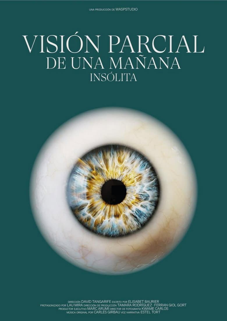 Visión Parcial de una Mañana Insólita poster
