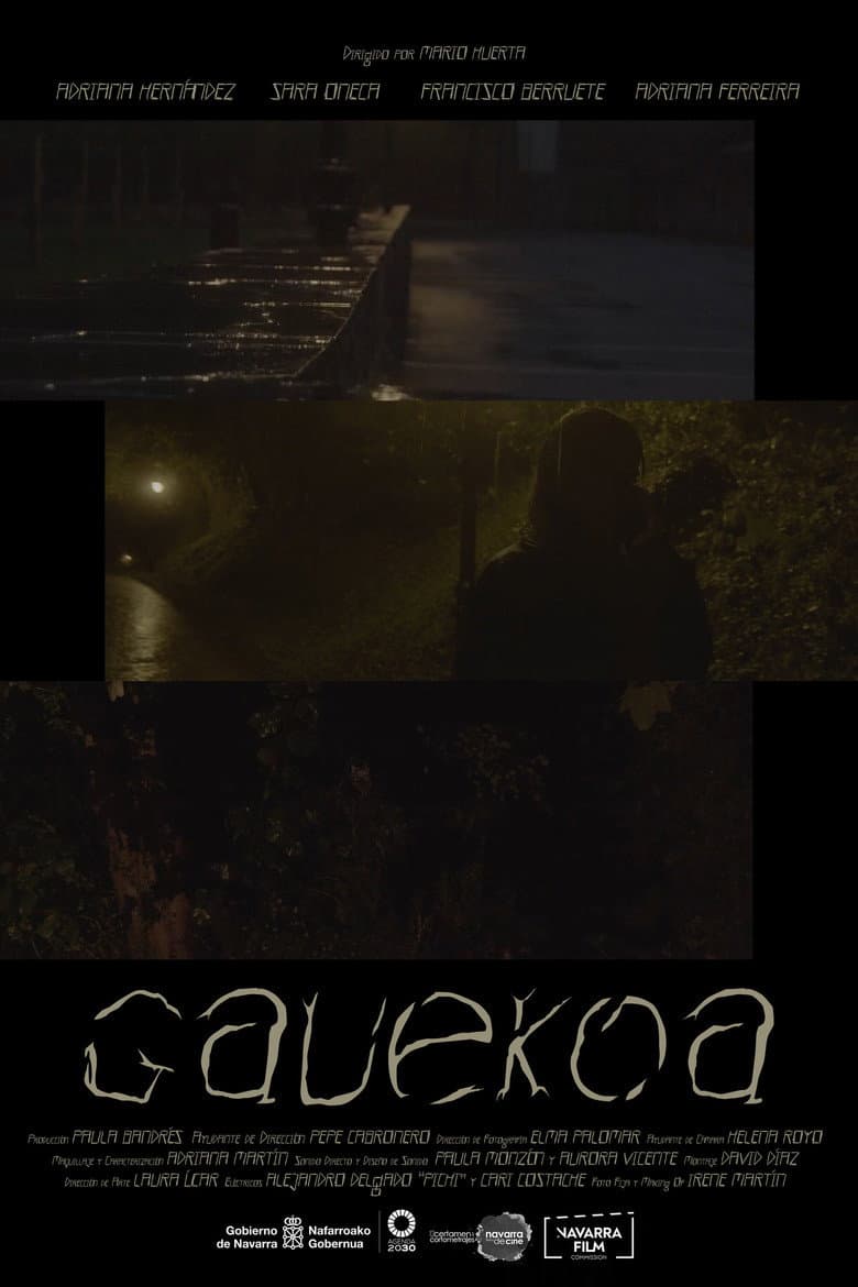 Gauekoa poster