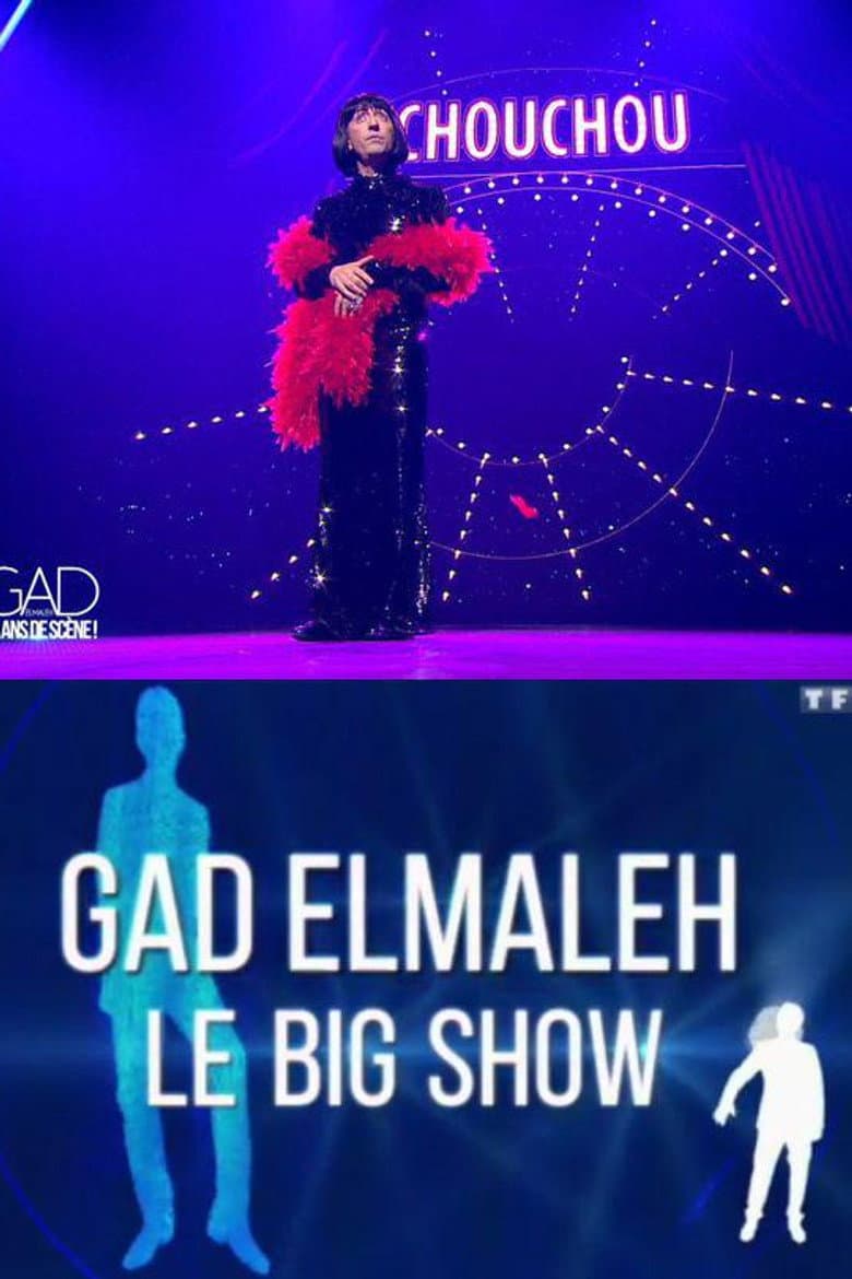 Gad Elmaleh - Le Big Show poster
