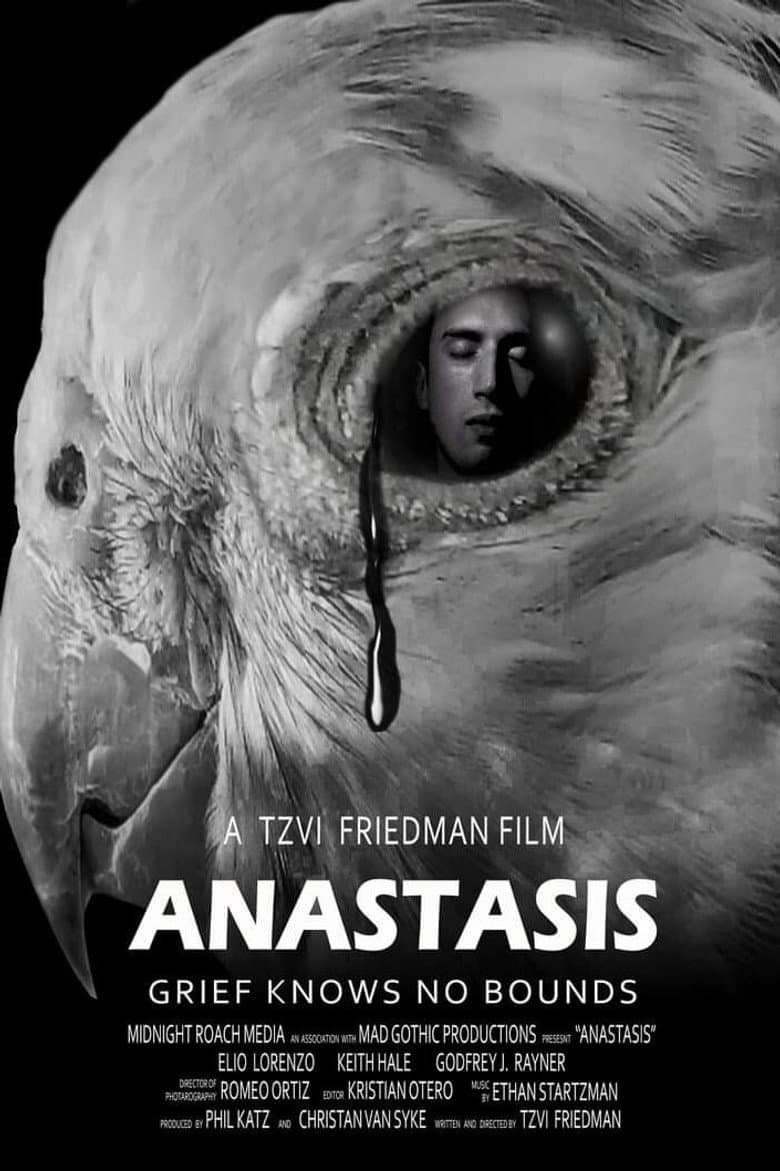 Anastasis poster