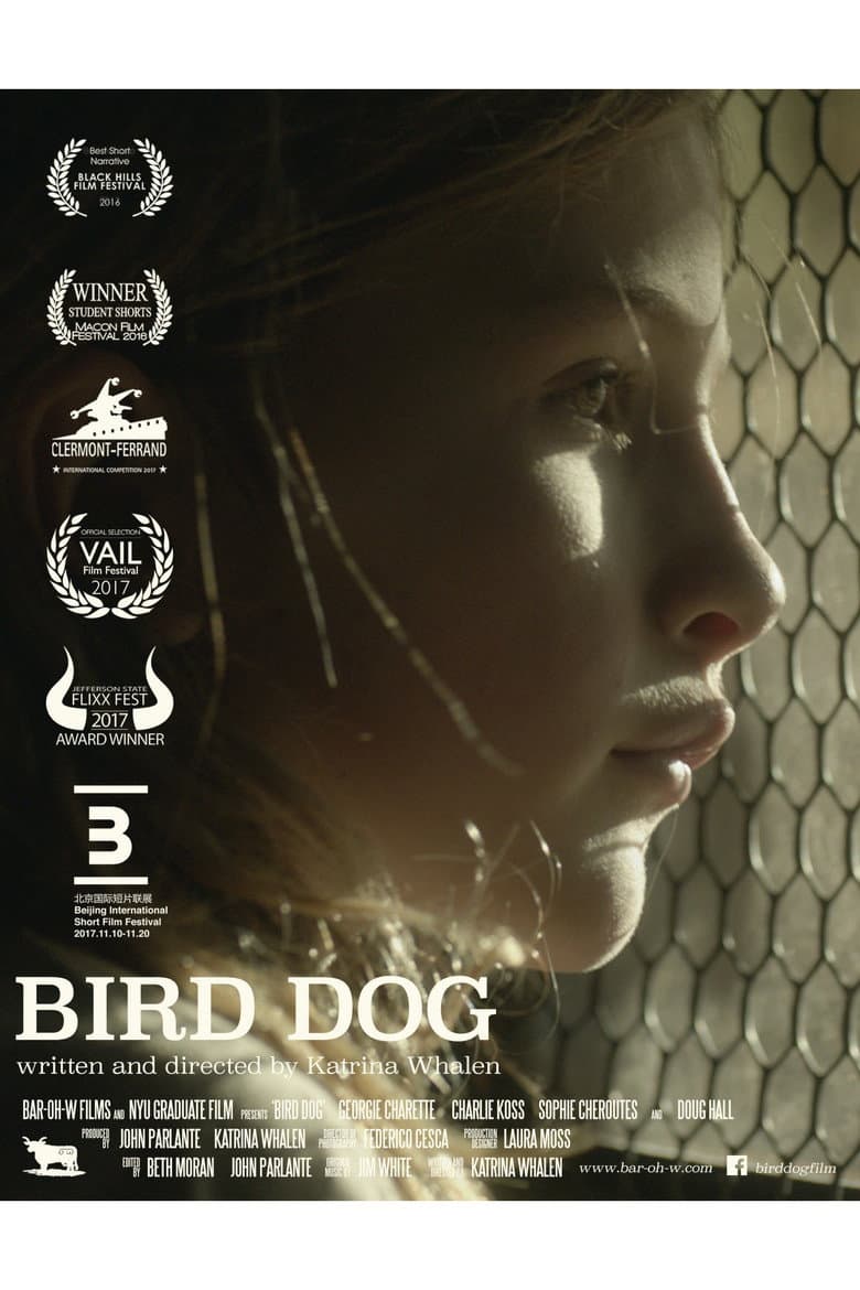 Bird Dog poster