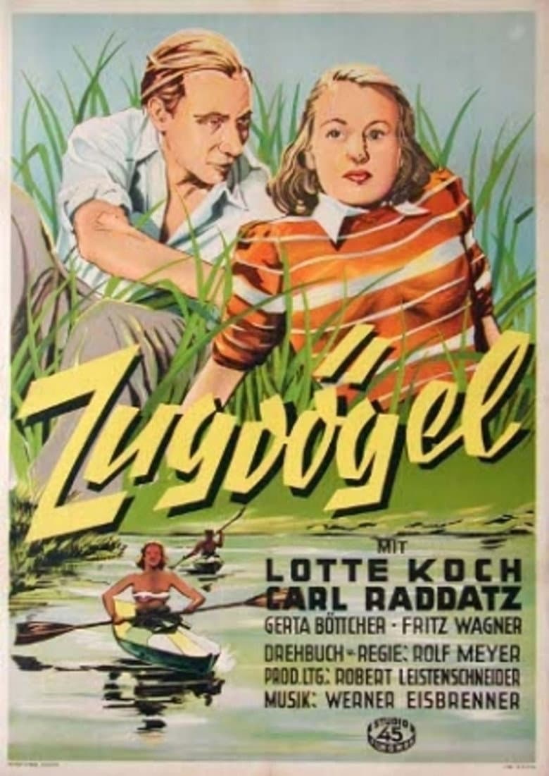 Zugvögel poster
