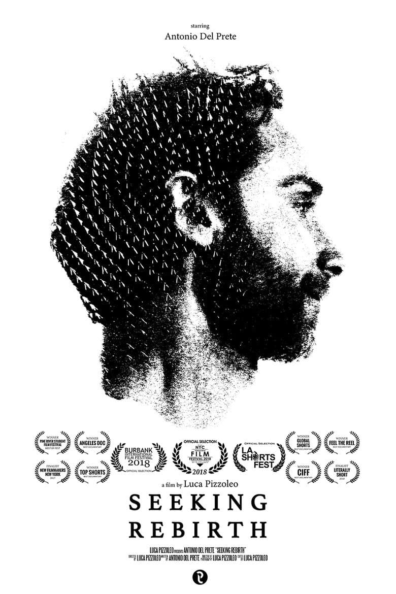 Seeking Rebirth poster
