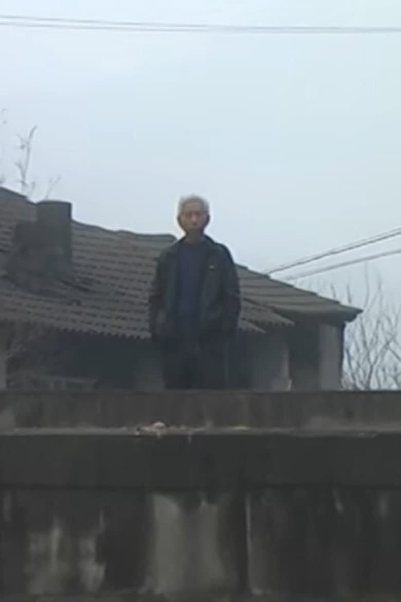 Revolution in Baiyun Village poster