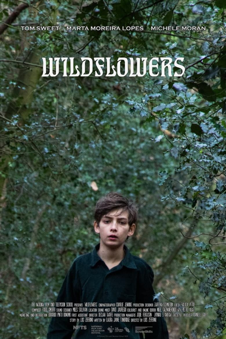 Wildflowers poster