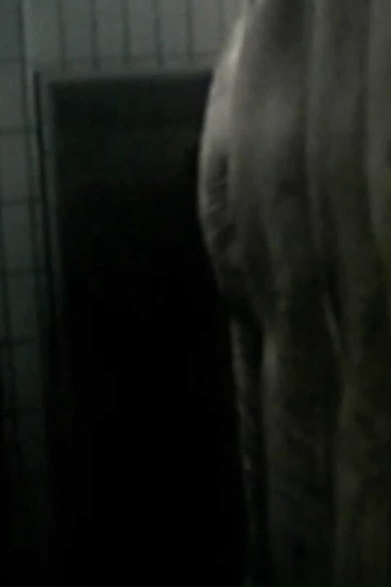 Opus Hominis 2 poster