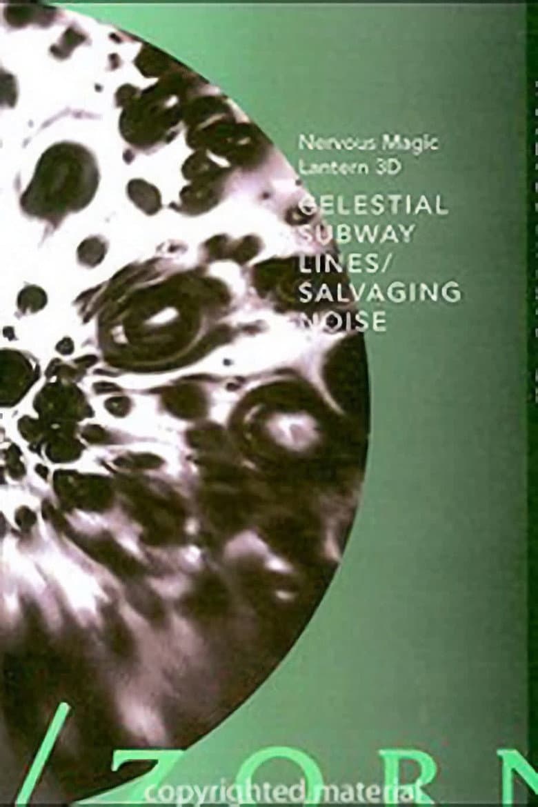 Celestial Subway Lines/Salvaging Noise poster
