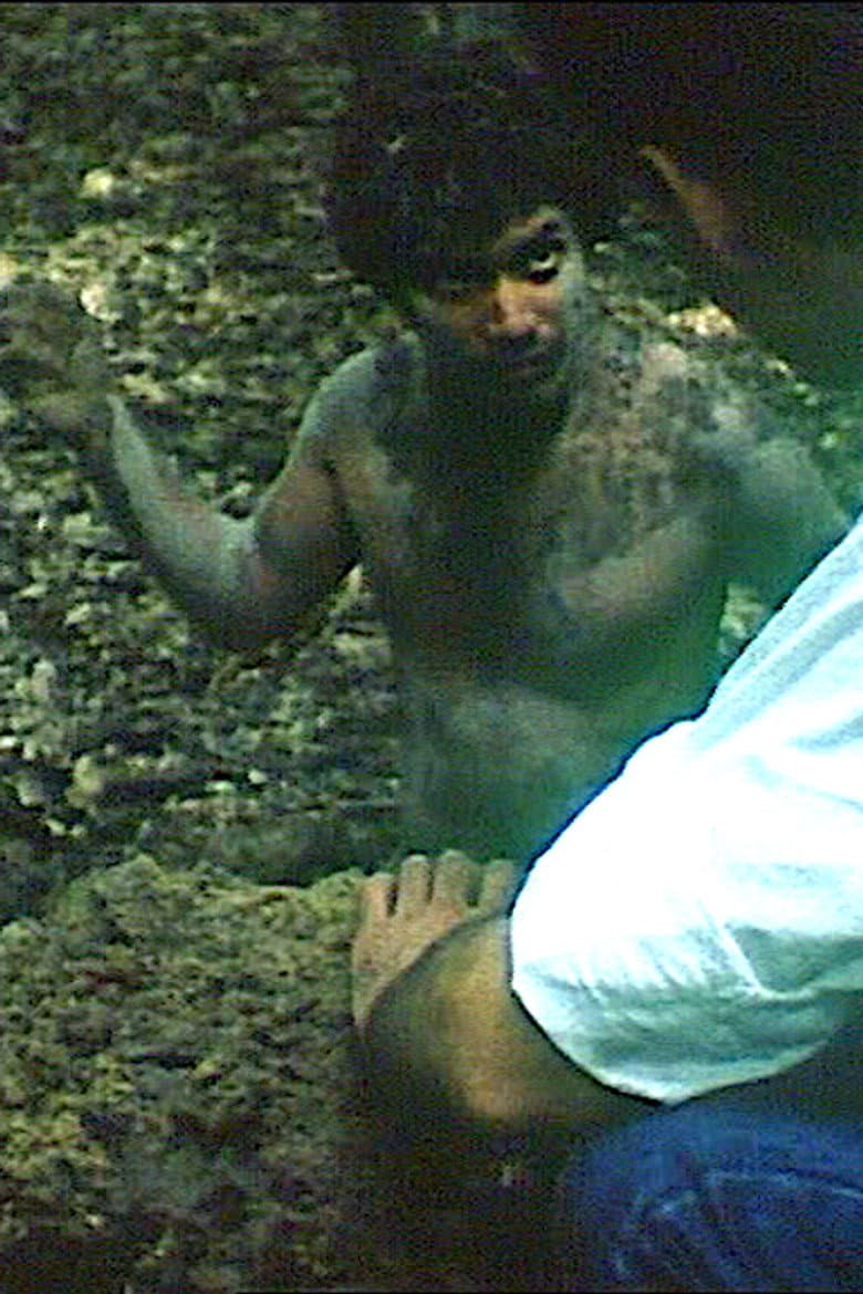 Concerto pour Aloual poster