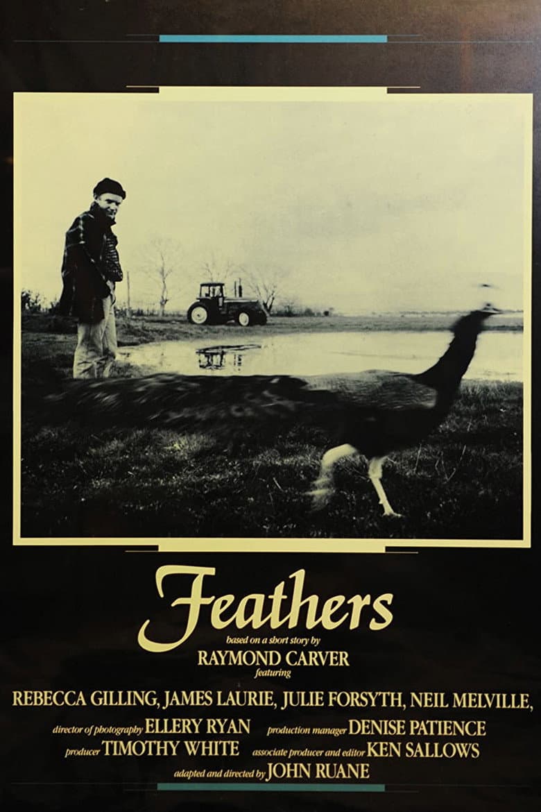 Feathers poster