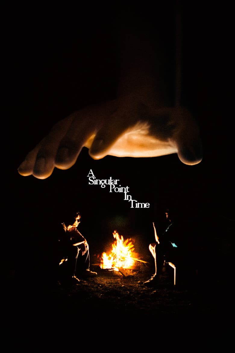 A Singular Point In Time poster