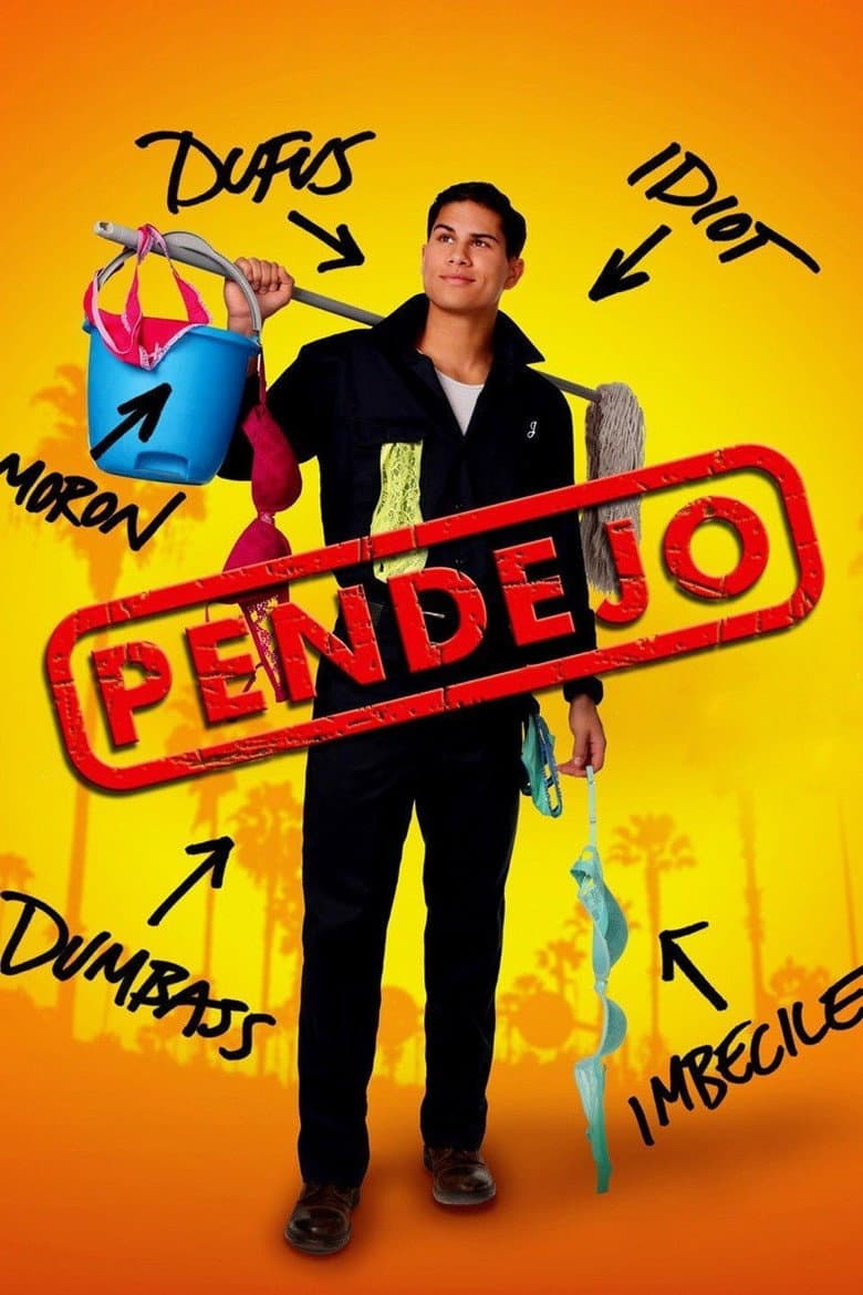 Pendejo (Idiot) poster