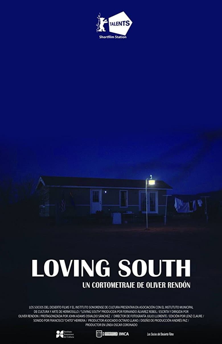 Loving South poster