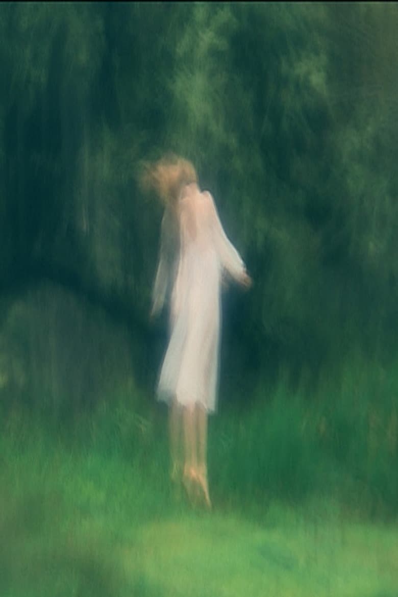 Angelus Novus poster