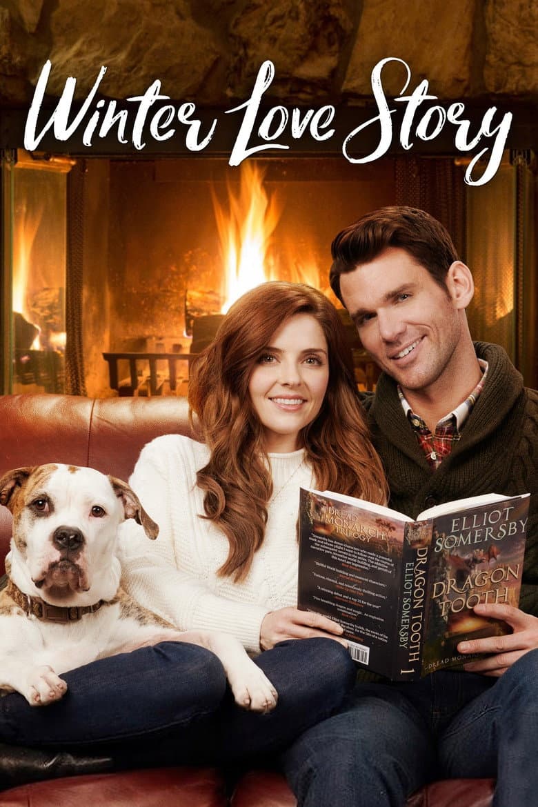 Winter Love Story poster