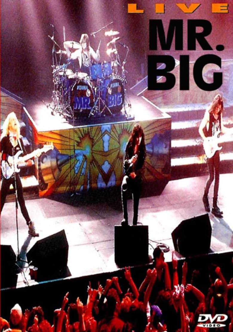 Mr. Big: Live poster