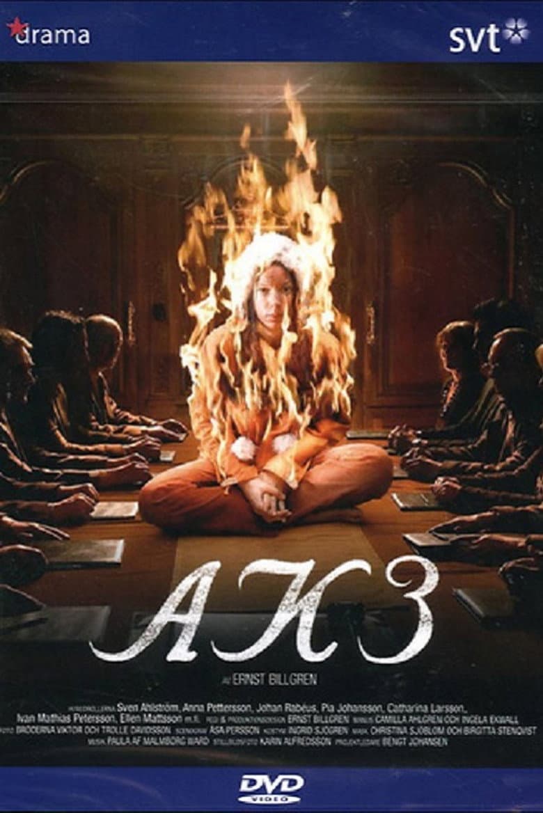 AK3 - Dolda beslut poster