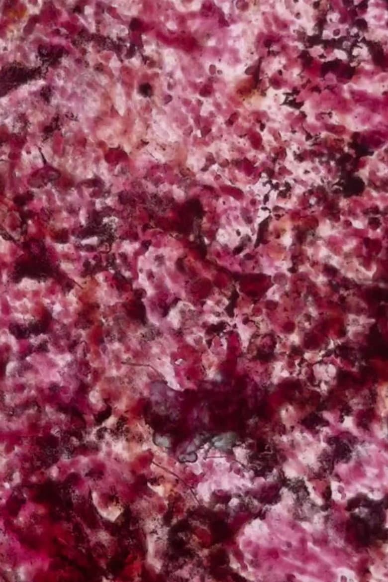 Levitator and Other Sensations poster