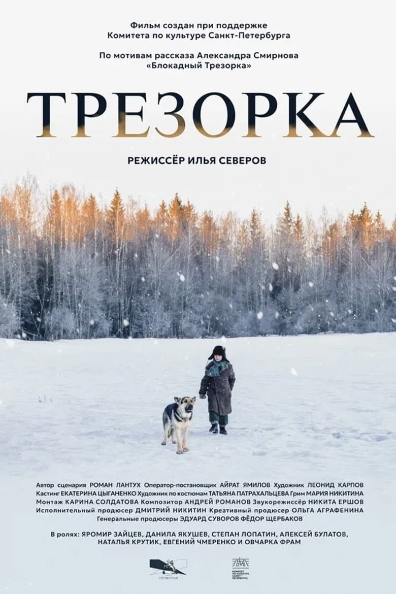 Trezorka poster